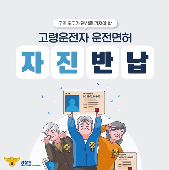 고령 운전자 운전면허 자진반납