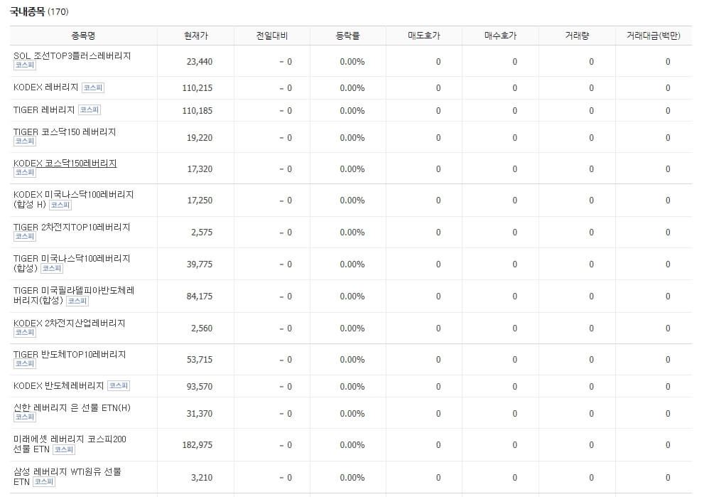 국내 주식 레버리지 종목